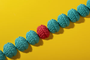 Teoría de las inteligencias múltiples de Howard Gardner